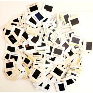 1980-90s Birds Bulk Lot Of 220 Pcs 35mm Slides Coastal Forest Vintage E50E